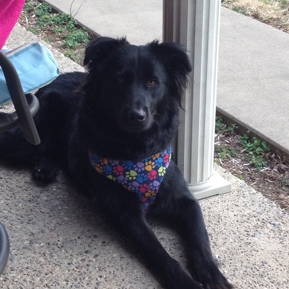 🍄Welcome to Sparrow’s Bubble..my name is Kriss! 🍄 - Picture 15 of 15